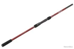 Canne Casting BFT Instinct 2m40 2 124cm Max 130g 234g