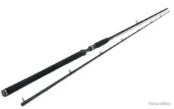 Canne Casting Westin W3 Powershad T 2nd 248 XXH