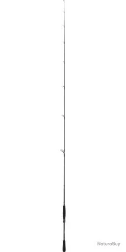 Canne Daiwa Spinning Prorex Ags 631 MHFS 1,91M 7-28G