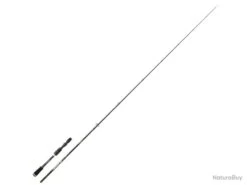 Canne Spinning Sakura Ionizer G2 Verticale 1+1 10 - 40g 1m83
