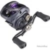 Daiwa MOUL.PROREX 20 PE SVTW 100 HSL