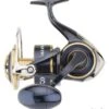 Moulinet Daiwa Saltiga 20 14000 XH