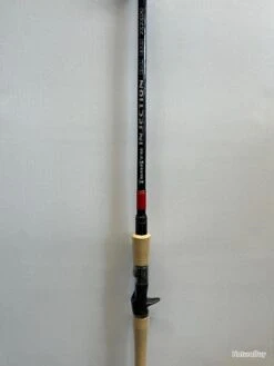 TENRYU INJECTION BC 80 XXH