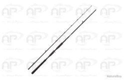 Canne Casting Abu Garcia Beast 2 40-140gr 2.54m