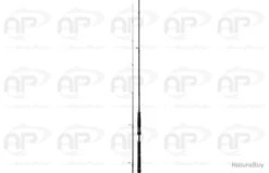 Canne Spinning Daiwa BG Seabass 2 115cm 5-21g 2.21M