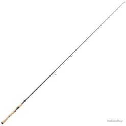 Canne Spinning Tenryu Tateyoko Black Limited