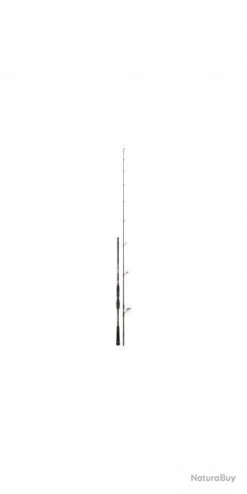 Bassforce Special Spinning CANNE BASSF.SP. 2,37M 70-150G -Daiwcia Magasin 00003 Bassforce Special Spinning CANNE BASSF.SP . 2 37M 70 150G