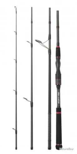 Bassforce Special Traveler Spinning CANNE BASSF.ST S 2,23M 40-110G -Daiwcia Magasin 00003 Bassforce Special Traveler Spinning CANNE BASSF.ST S 2 23M 40 110G