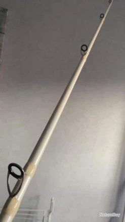 HART CANNE A PECHE CASTING POUR LE BIG BAIT - 2.22 Mètres - A RETIRER SUR PLACE -Daiwcia Magasin 00003 CANNE A PECHE CASTING POUR LE BIG BAIT 2.22 metres