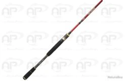 CANNE HEARTY RISE RED SHADOW 2.13M 4-22G