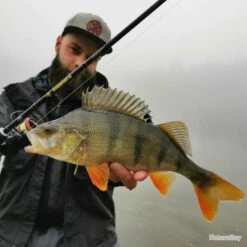 Canne Spinning LMAB La Moustique 225M 7-21g -Daiwcia Magasin 00003 Canne Spinning LMAB La Moustique 225M 7 21g