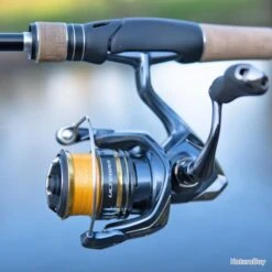 Moulinet Spinning Shimano Ultegra FC 1000 -Daiwcia Magasin 00003 Moulinet Spinning Shimano Ultegra FC 1000