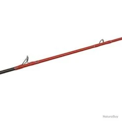 Canne Tenryu Injection BC 62 XH 1.88m 28-112g -Daiwcia Magasin 00004 Canne Tenryu Injection BC 62 XH 1.88m 28 112g