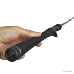 Canne Tenryu Injection BC 76 MH 2.29m 10-40g -Daiwcia Magasin 00004 Canne Tenryu Injection BC 76 MH 2.29m 10 40g