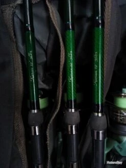 Canne à Pêche -Daiwcia Magasin 00004 Canne a peche