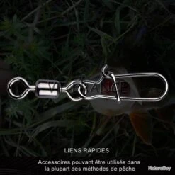 50 Emerillon Agrafe Inox Pour La Peche, Modele: 2/0 11 50 Emerillon Agrafe Inox Pour La Peche, Modele: 2/0 -Daiwcia Magasin 00005 50 Emerillon Agrafe Inox pour la Peche Modele 2 0