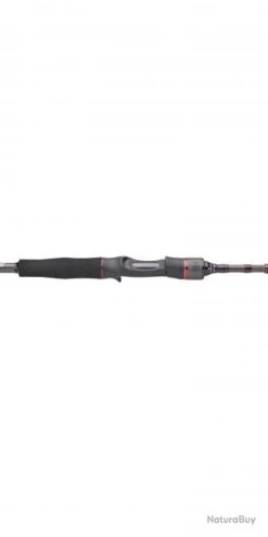 Bassforce Special Traveler Casting CANNE BASSF.ST C 2,13M 15-60G -Daiwcia Magasin 00005 Bassforce Special Traveler Casting CANNE BASSF.ST C 2 13M 15 60G