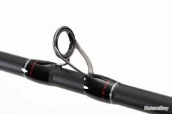 Canne Casting Fox Rage Prism X Versatile Soft Casting 6'11" 14 Canne Casting Fox Rage Prism X Versatile Soft Casting 6'11" -Daiwcia Magasin 00005 Canne Casting Fox Rage Prism X Versatile Soft Casting 6 11