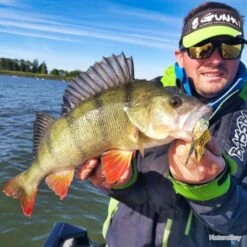 Leurre Boomer 14g Gunki Smoke Shad MS -Daiwcia Magasin 00005 Leurre Boomer 14g Gunki Smoke Shad MS