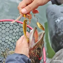 Leurre DEX Spinnerbait Tungsten 14g Berkley BBC -Daiwcia Magasin 00006 Leurre DEX Spinnerbait Tungsten 14g Berkley BBC