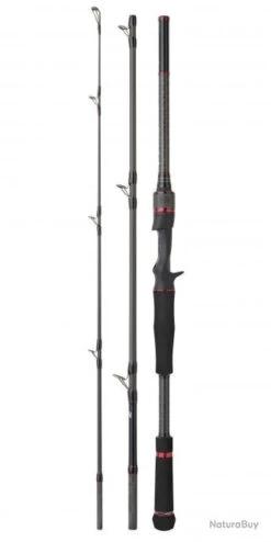 Bassforce Special Traveler Casting CANNE BASSF.ST C 2,23M 50-150G -Daiwcia Magasin 00007 Bassforce Special Traveler Casting CANNE BASSF.ST C 2 23M 50 150G