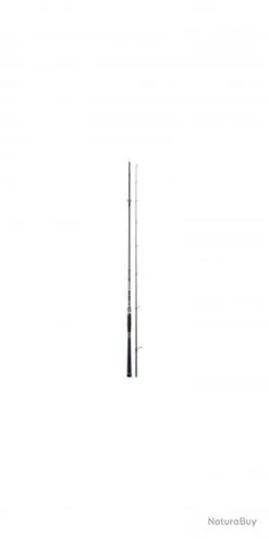 Divinity CANNE DIVINITY 2,30M 40-120G -Daiwcia Magasin 00007 Divinity CANNE DIVINITY 2 30M 40 120G