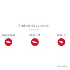 Leurre Wild Header 1/2 Megabass Ayu 8 Leurre Wild Header 1/2 Megabass Ayu -Daiwcia Magasin 00007 Leurre Wild Header 1 2 Megabass Ayu