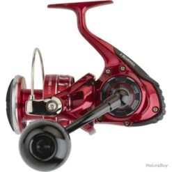 Moulinet Daiwa RR LT Ark - 8000