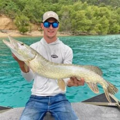 Leurre Zilla Spinnerbait 25gr Berkley 18cm Pinky Promise -Daiwcia Magasin 00008 Leurre Zilla Spinnerbait 25gr Berkley 18cm Pinky Promise