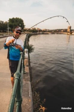 FOX RAGE Cannes Heavy Shad 230Cm 10-35G -Daiwcia Magasin 00009 Cannes Heavy Shad 230Cm 10 35G