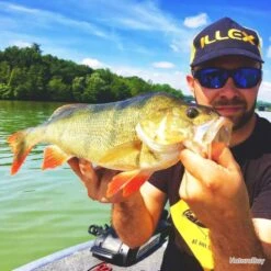 Leurre Crazy Crusher 14g Illex Magic Pumpkin Craw -Daiwcia Magasin 00012 Leurre Crazy Crusher 14g Illex Magic Pumpkin Craw