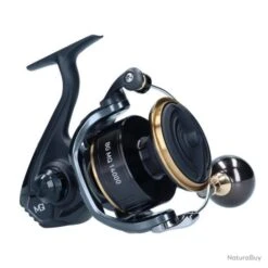 Moulinet Daiwa BG Monocoque ARK - 14000 / ARK -Daiwcia Magasin 00015 Moulinet Daiwa BG Monocoque ARK 14000 ARK