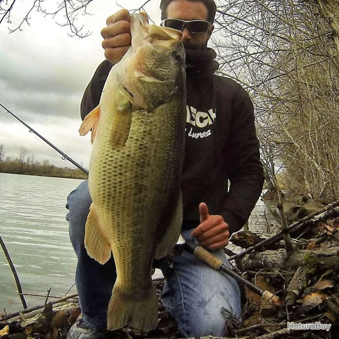 Leurre Spinnerbait Keitech Tee Bone 1/2oz 14g White Chart 10 Leurre Spinnerbait Keitech Tee Bone 1/2oz 14g White Chart – Image 8