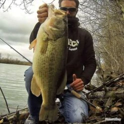 Leurre Spinnerbait Keitech Tee Bone 3/8oz 10.5g Super White -Daiwcia Magasin 00016 Leurre Spinnerbait Keitech Tee Bone 3 8oz 10.5g Super White