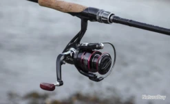 Moulinet De Pêche Carnassiers, Mer, Surfcasting 1000 HC Modèle 1 -Daiwcia Magasin 00028 Moulinet de peche carnassiers mer surfcasting 1000 HC modele 1