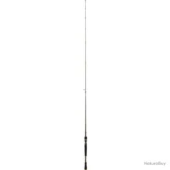 Canne Spinning Daiwa Exceler - 1,98 M / 2 / 7 - 28 G -Daiwcia Magasin 00045 Canne Spinning Daiwa Exceler 1 98 m 2 7 28 g