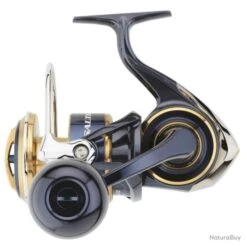 Moulinet Daiwa Saltiga 20 - 8000 / P -Daiwcia Magasin 00057 Moulinet Daiwa Saltiga 20 8000 P