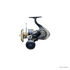 Moulinet Daiwa Saltiga 20 - 8000 / P -Daiwcia Magasin 00059 Moulinet Daiwa Saltiga 20 8000 P