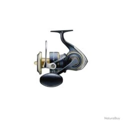 Moulinet Daiwa Saltiga 20 - 8000 / P -Daiwcia Magasin 00060 Moulinet Daiwa Saltiga 20 8000 P