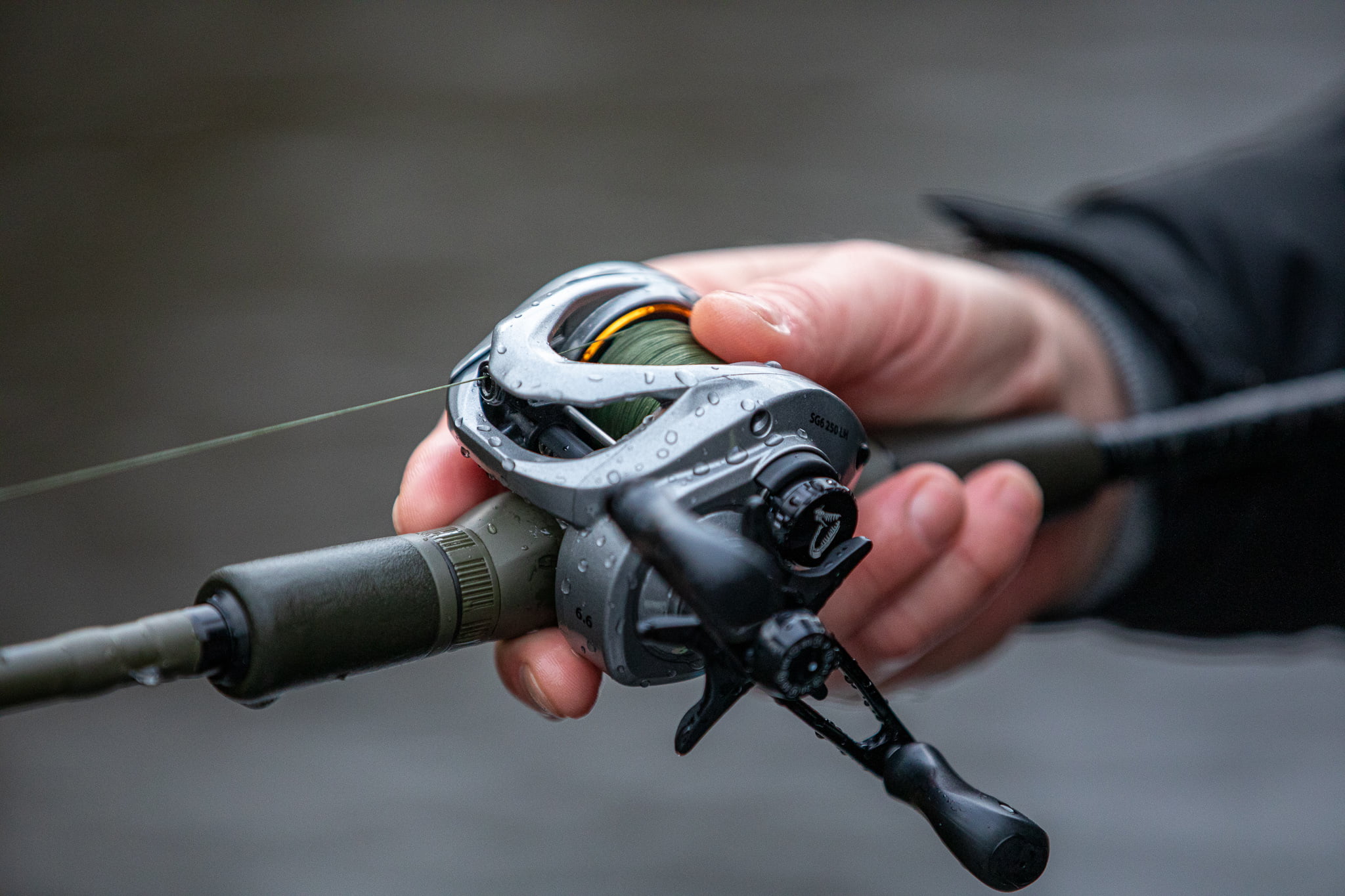 Daiwcia Magasin -Daiwcia Magasin 275785629 10163319068679988 5371537226170726907 n