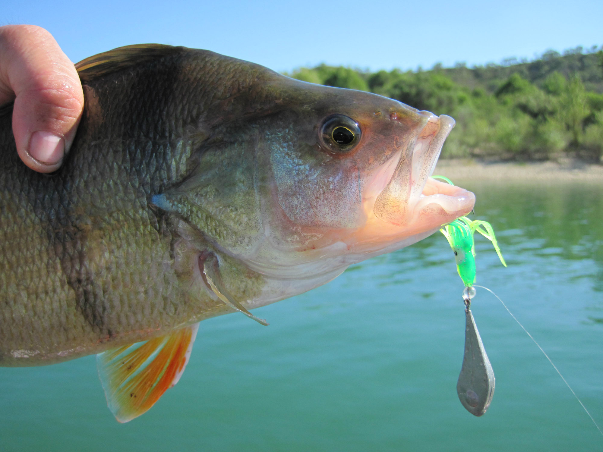 Daiwcia Magasin -Daiwcia Magasin peche plomb palette 02